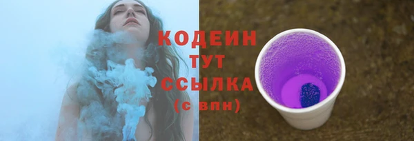 прущие грибы Армянск